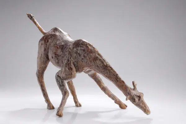 Giraffe - Arno Goossens
