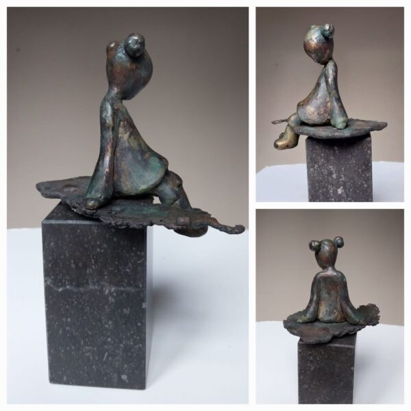 Plons - Rose van den Hurk