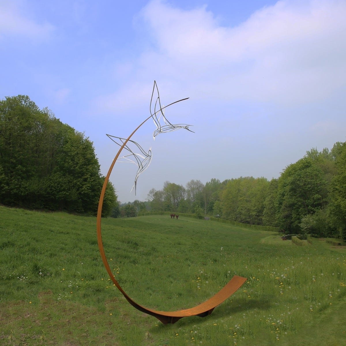 Tern - Marcel Timmers