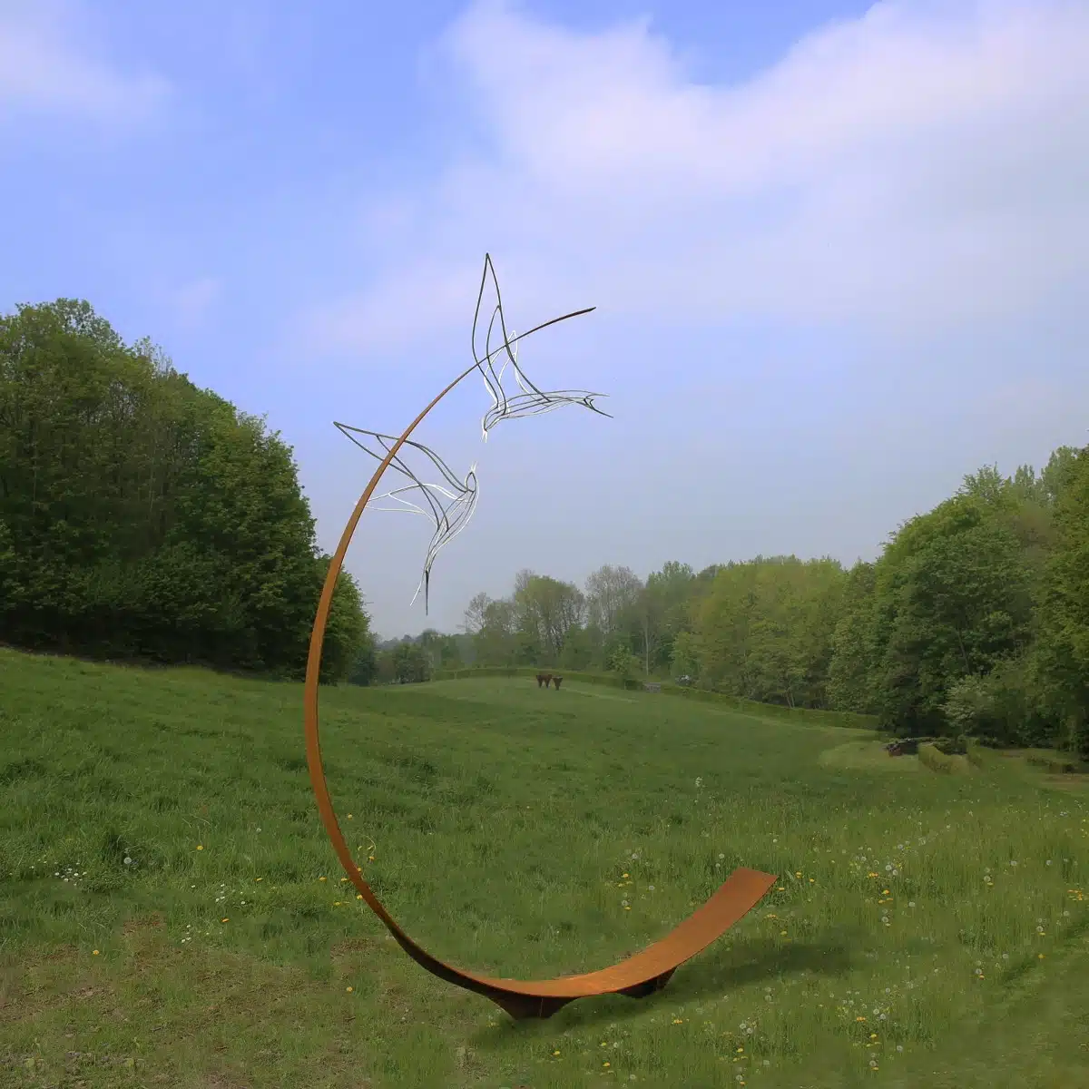 Tern - Marcel Timmers