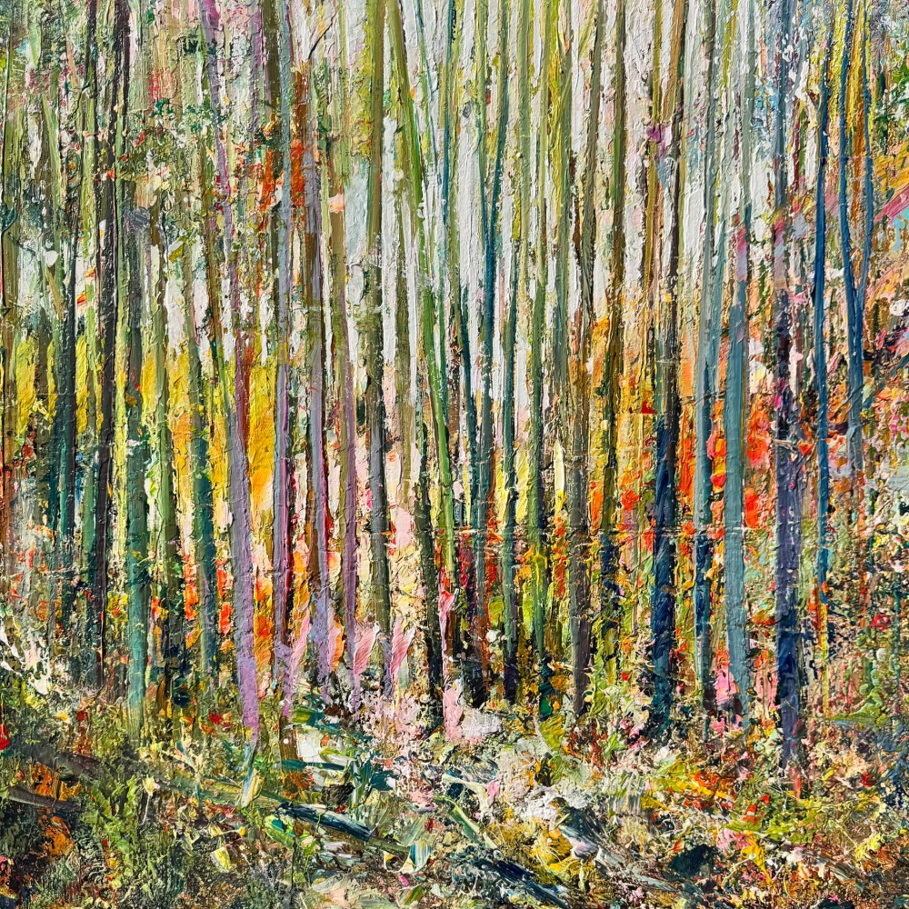 Forest and Birds - Peter Meijer