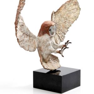 Kerkuil - Arno Goossens