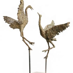 Kraanvogels - Arno Goossens