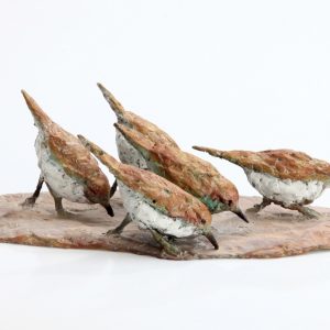 Strandlopers - Arno Goossens