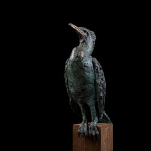 Aalscholver - Arno Goossens