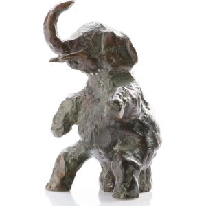 Circusolifantje - Arno Goossens