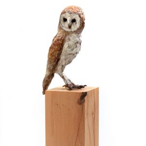 Zittende kerkuil - Arno Goossens