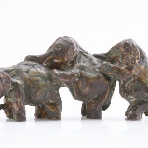 Dansende olifantjes - Arno Goossens