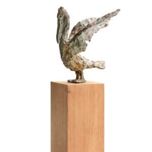 Zonnebadende pelikaan - Arno Goossens