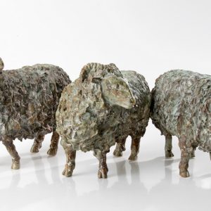 Drentse schapen - Arno Goossens