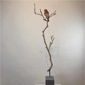 Roodborstje op tak - Chris Gadiot