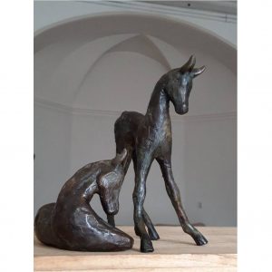 Veulen - Rose van den Hurk