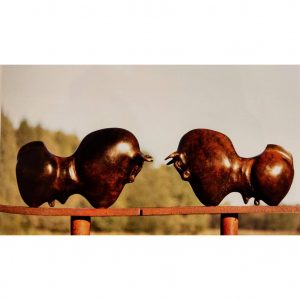 Double Trouble - Anton ter Braak