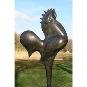 Fier comme un Coq - Anton ter Braak