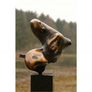 Lippizaner - Anton ter Braak