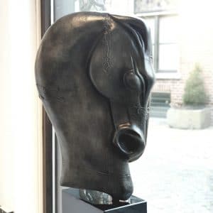 Dressage - Anton ter Braak