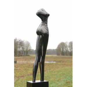 Catwalk - Anton ter Braak