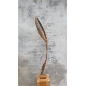 Veder - Dirk Verberne