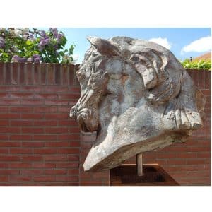 Forza - Erik Kierkels