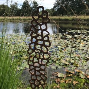 Toorts - Juul Rameau