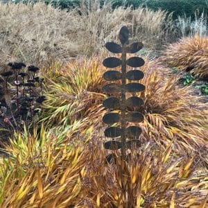 Botanica Varen - Juul Rameau