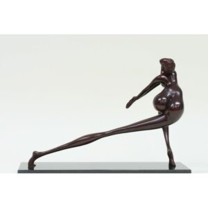 Cassiopee - Dominique Prins-Ciccoli