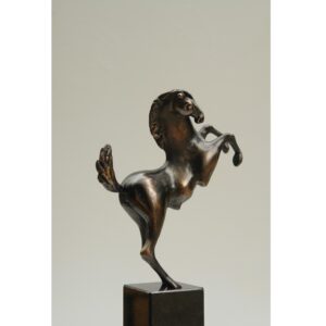 Prancing horse - Anton ter Braak