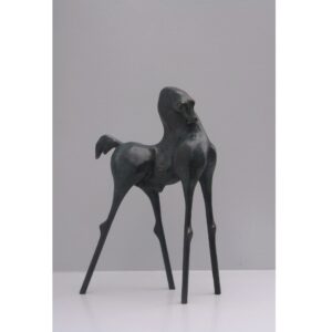 Jumper- Anton ter Braak