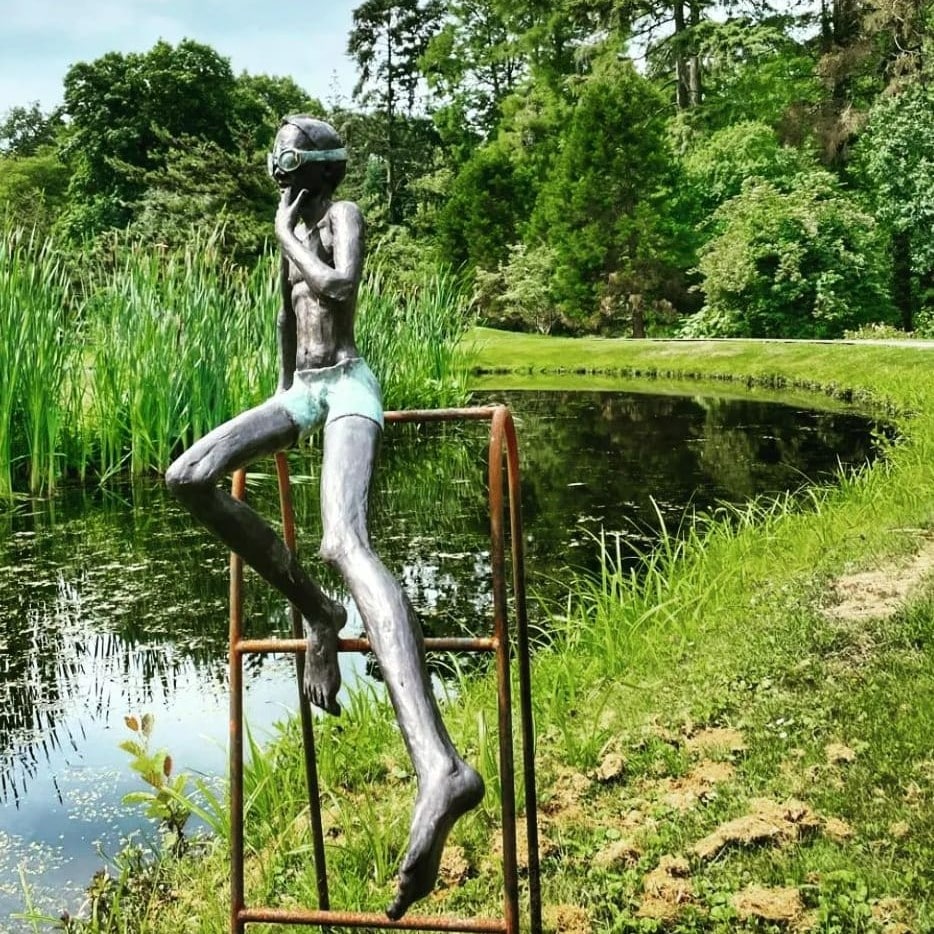 dilemma - Lilian Steenhuisen