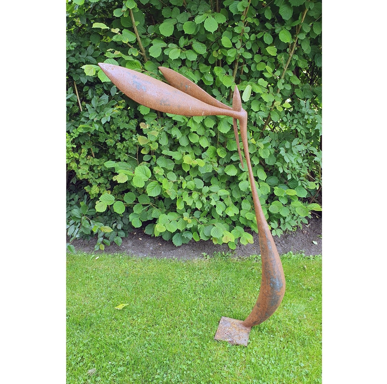 Verwonderd - Dirk Verberne