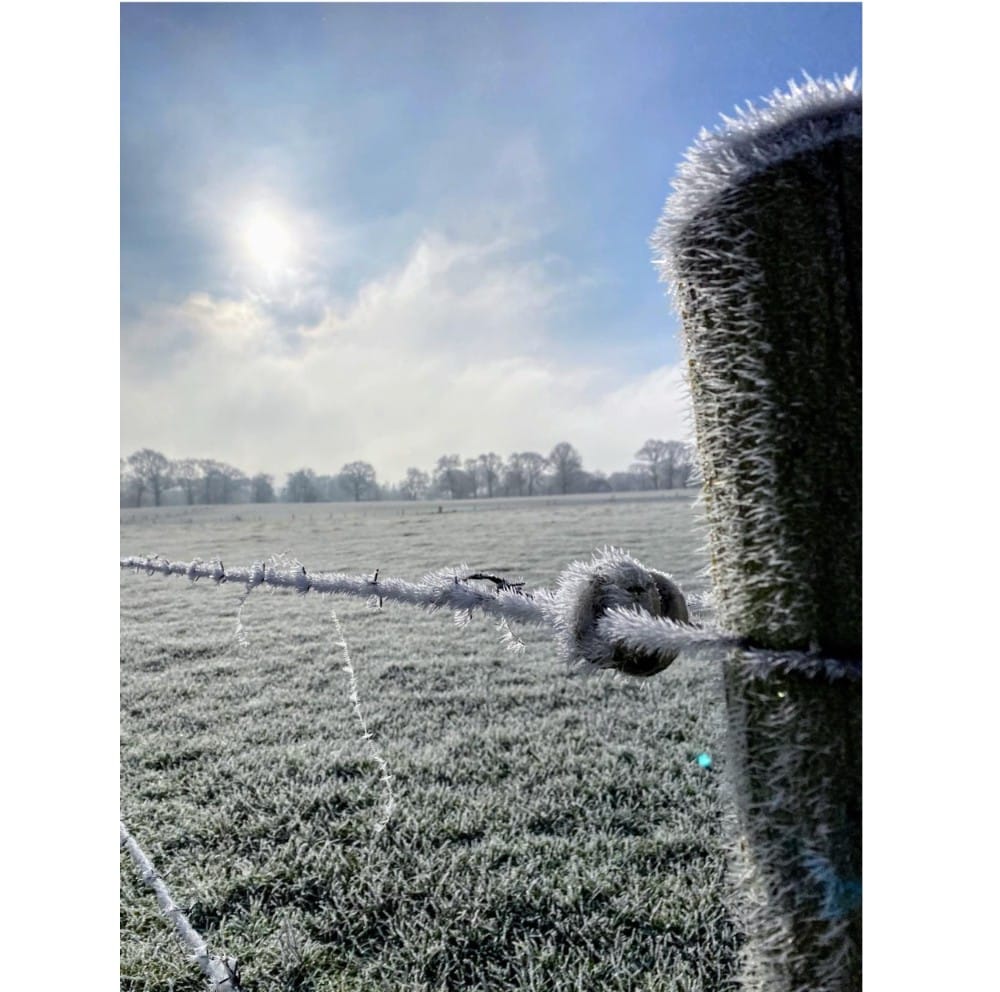 Michelinster voor Ootmarsum