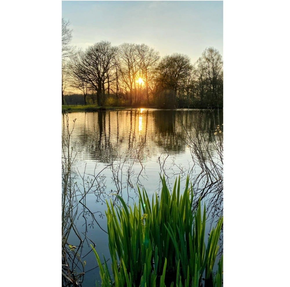 Michelinster voor Ootmarsum