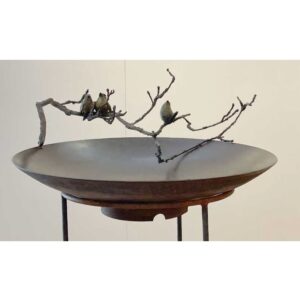 Winterkoninkjes op waterschaal - Chris Gadiot