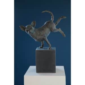 Chihuahua - Noor Brandt