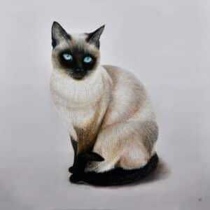 Kalaya - Viv Hermans