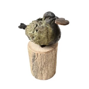 Ik geef je mijn hart - Tonny de Brouwer