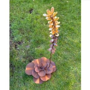 Aloë Vera in large - Kim Kenyon