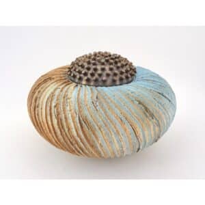 Echinus - Jolanda Verdegaal